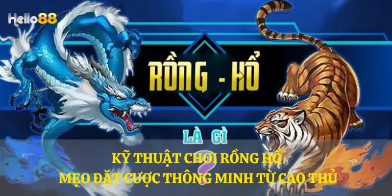 Kỹ thuật chơi Rồng Hổ - Mẹo đặt cược thông minh từ cao thủ